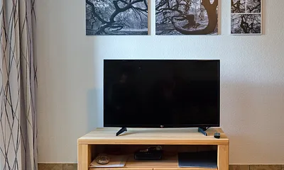 Wohnraum mit ausziehbarem Schlafsofa (s.o.) Richtung TV