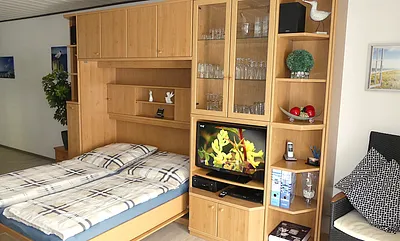 Schrankwand im Wohnbereich mit Schrankbett zur Schlafgelegenheit für die 3. und 4. Person, TV, DVD-Player, Soundbar, Audio-Anlage, Infomappe, Gebrauchsanleitungen, Spiele, Bücher, uvm.