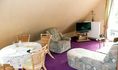 Wohnraum mit Sicht auf Fernseher und Balkon