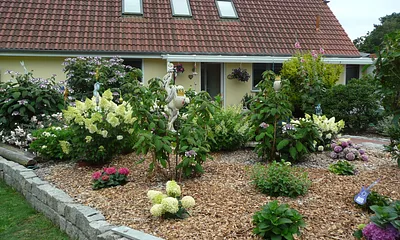 Gartenansicht vom Haus