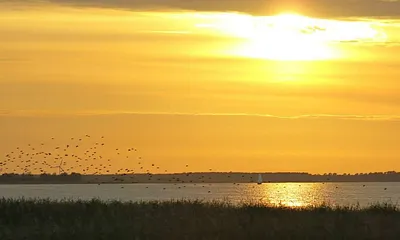 die Sonne geht unter - Blick über den Bodden