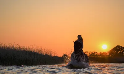 Sie können bei uns auch die Zeit mit den Pferden genießen, ob ein Blick auf die Weide oder im Sattel. Gern können Sie nach Absprache auch das eigene Pferd mitbringen.