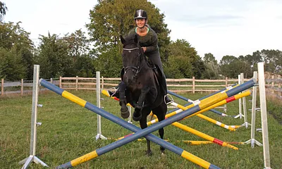 Reitunterricht, Gastpaddocks und Boxen