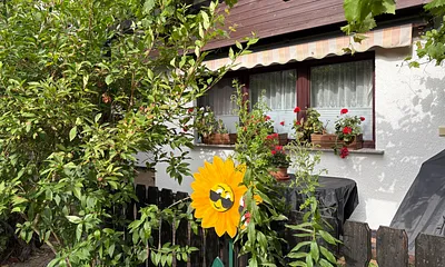 Blick auf die Fewo mit Terasse