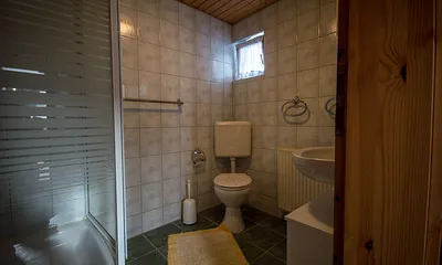 Blick ins Bad (mit Dusche und WC)