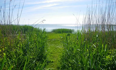 vom Töpperhusgarten auf dem Weg zum Bodenufer 