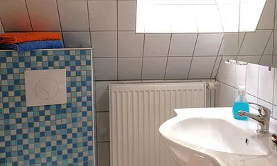 Tageslichtbad mit WC und Dusche