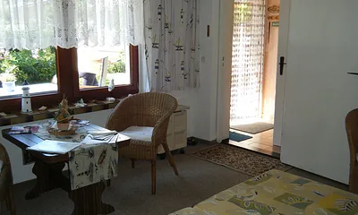 Wohn-Schlafraum mit Blick zur Terrasse und zum Flur 