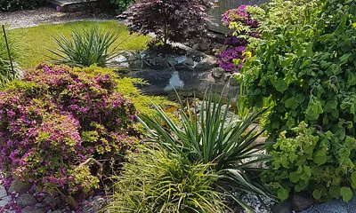 Blick von der Terasse auf den wunderschönen naturbelassenen Gartenteich mit seiner Artemberaubenen Tiervielfalt.