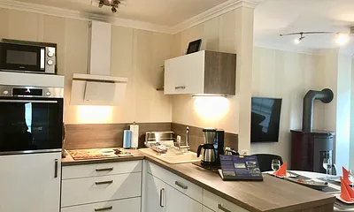 Küche mit Geschirrspüler, Kühlschrank, Induktionsherd mit  Backofen, Mikrowelle 