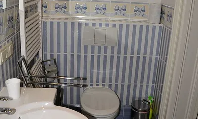 Gästebad mit Dusche und WC