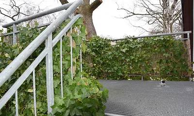 "Vogelnest"..der Landeplatz ;-)