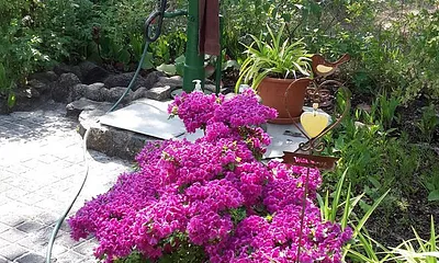Garten unten mit Pumpe