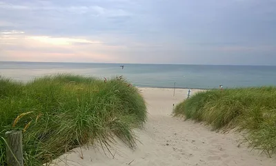 Der Weg zum schönen Dierhagener Strand