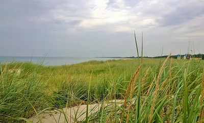 Dünenlandschaft am Dierhagener Strand