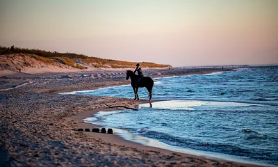 Unsere Landschaft mit dem Pferd erkunden, für routinierte Reiter Ausritte nach Absprache möglich sowie Reitunterricht.