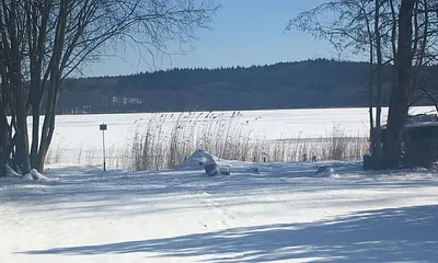 Einfach die Ruhe geniessen