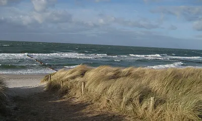 Das ist unser Übergang zum Strand,den man wunderbar morgens am Frühstückstisch genießen kann.