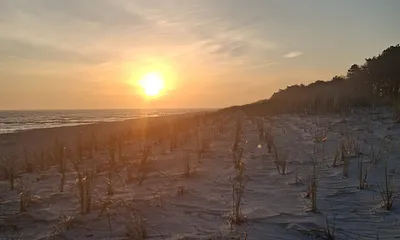 Sonnenschein pur und das in den frühen Morgenstunden 