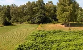 Ausblick vom Balkon ins Naturschutzgebiet