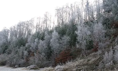 Winter an der Steilküste