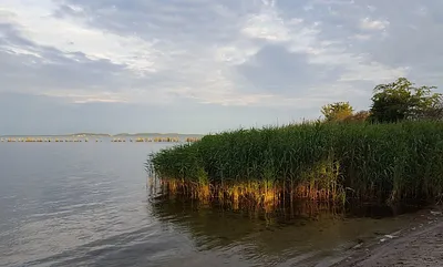 Badestelle am Bodden