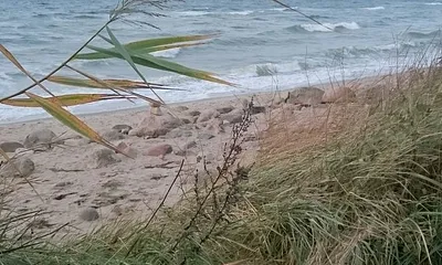 Kägsdorf am Strand