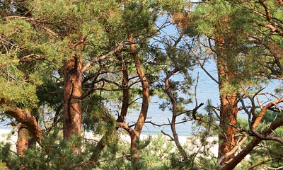 Blick aus der Wohnung