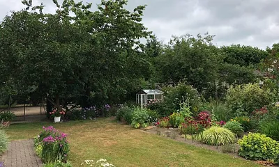 seitlicher vegetativer Blick