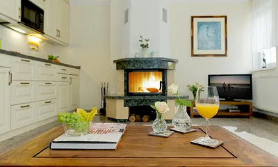  Wohn- und Kochbereich mit Kamin