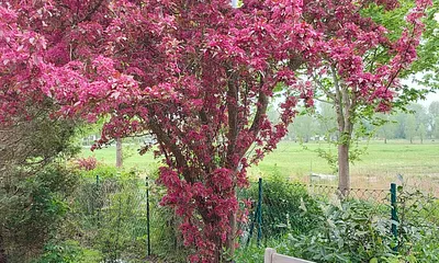 Herzlich willkommen!