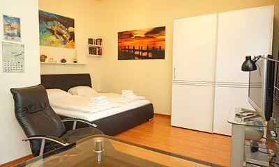 kombinierter Wohn-/ Schlaf-/ Küchenbereich