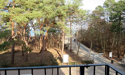 eingeschränkter Seeblick