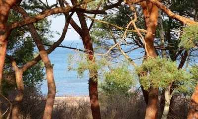 eingeschränkter Seeblick