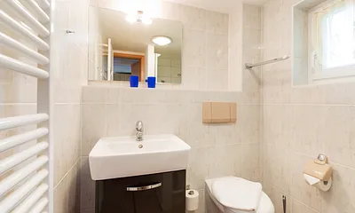 Das Bad bietet Dusche und WC.