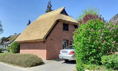 Blick auf das Ferienhaus von der Dorfstraße