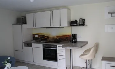 Küchenzeile mit Backofen, Herd, Geschirrspüler, Mikrowelle und Kühlschrank. Sowie Toaster, Wasserkocher und Kaffeemaschine und allem was dazu gehört