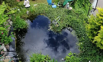 Blick vom Balkon auf unseren Teich