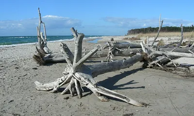 Ostseestrand nach Sturm