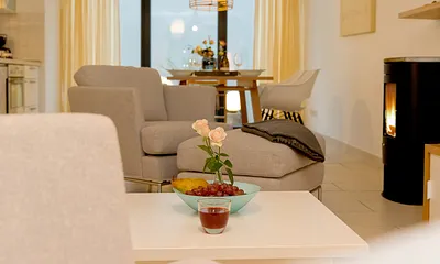 Wohnbereich mit Bio-Ethanol-Kamin