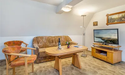 Das Wohnzimmer hat eine Couch mit Schlaffunktion für 1-2 Personen.