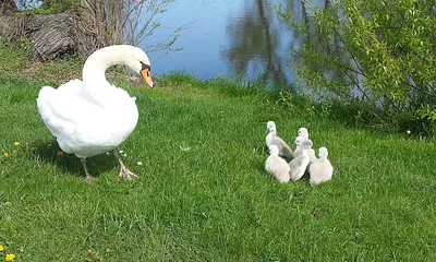Außenbereich - Teich