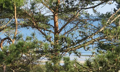 eingeschränkter Seeblick