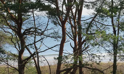 eingeschränkter Seeblick