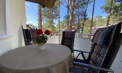 Balkon mitten im Kiefernwald