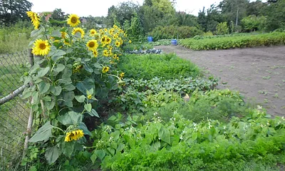 Gartenanlage Haus Klimek, Selbstversorgung