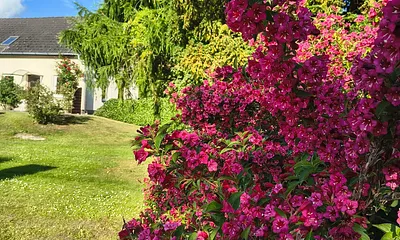 Garten 1