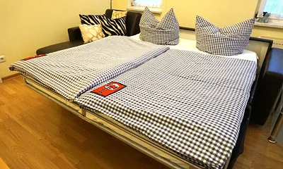 komfortable Schlafcouch im Wohnzimmer 1,60m breit