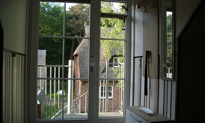 Blick auf den Stadtwald