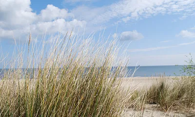 Der Ahlbecker Strand ist in wenigen Gehminuten zu erreichen